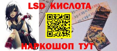 прущие грибы Бердск