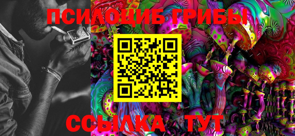 Псилоцибиновые грибы MAGIC MUSHROOMS  магазин продажи   Большой Камень  Вход с VPN 