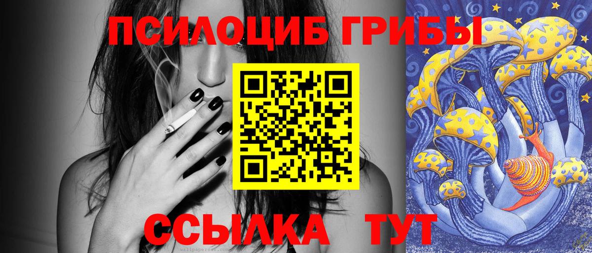 Псилоцибиновые грибы Psilocybine cubensis Большой Камень